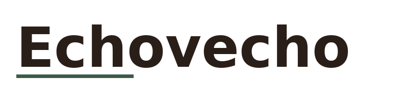 Echovecho logo